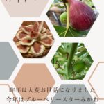 2023年あけましておめでとうございます