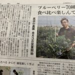 中日新聞に掲載されました