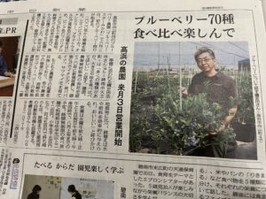 中日新聞に掲載されました