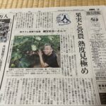 中日新聞に掲載されました!私のいちじく就農体験が紹介されました