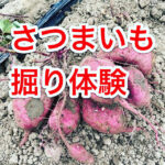 「芋ほり収穫体験」10月開催のお知らせ🍠