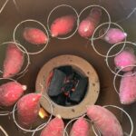 つぼ焼きいも販売します