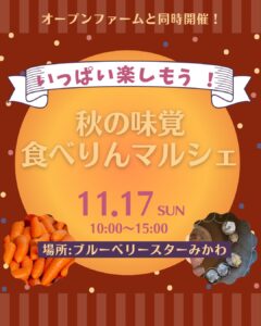 11月17日（日）第2回秋の味覚食べりんマルシェ開催