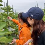 年に一度の特別企画「いちじく狩り」を開催しました!