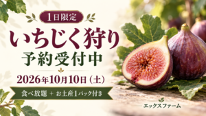 【10月10日開催】1日限定のいちじく狩り！開催