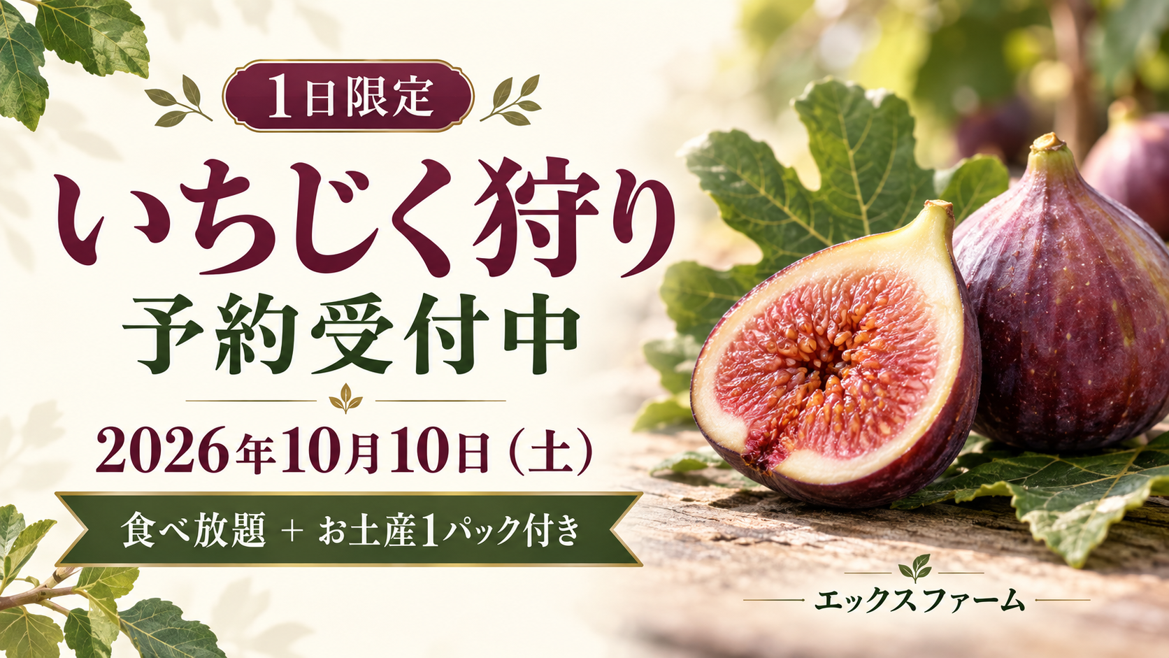 【10月10日開催】1日限定のいちじく狩り！開催